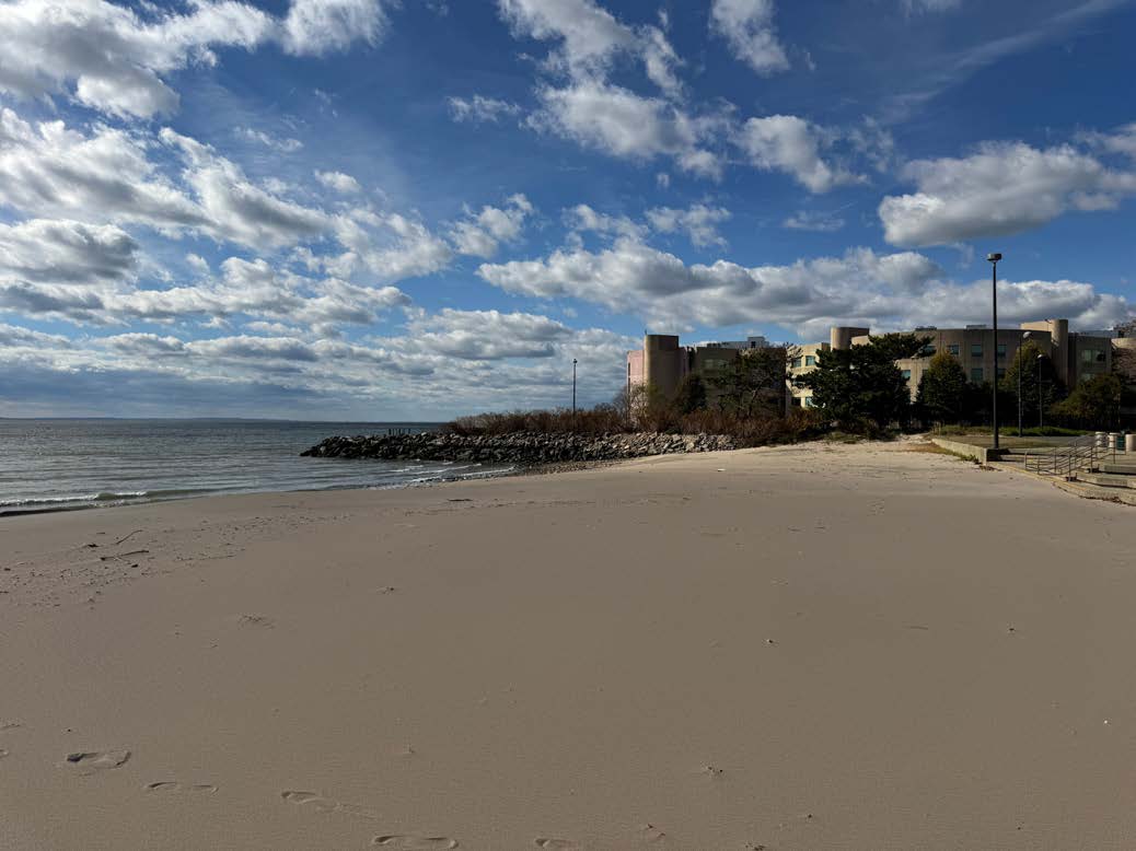 KCC Beach Photo of the beach with the water on the left and some nearby buildings in the distance.